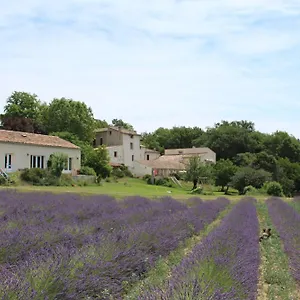 Gasthof Les Anes De, Forcalquier